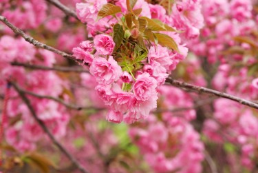 无锡锡山区线下个人借款平台一站式服务，轻松解决资金难题
