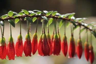 无锡锡山区零用贷短借：轻松解决临时资金需求