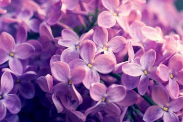 无锡锡山区企业急用钱贷款攻略：快速融资解燃眉之急